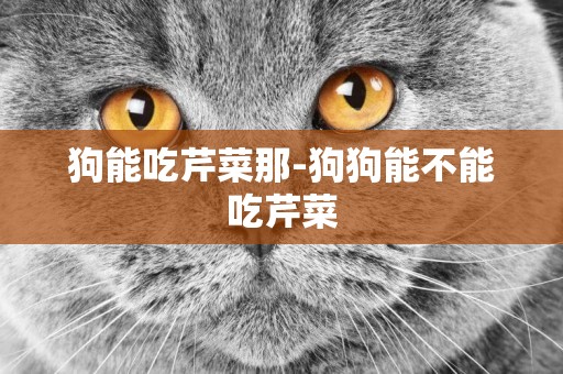 狗能吃芹菜那-狗狗能不能吃芹菜