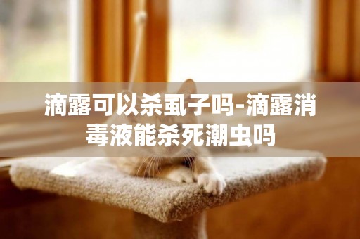 滴露可以殺虱子嗎-滴露消毒液能殺死潮蟲嗎