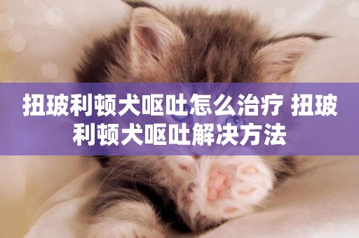 扭玻利頓犬嘔吐怎么治療 扭玻利頓犬嘔吐解決方法