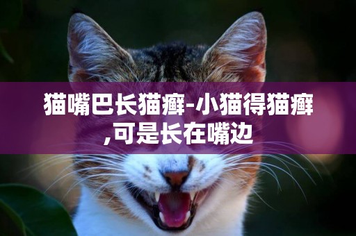 貓嘴巴長貓癬-小貓得貓癬,可是長在嘴邊