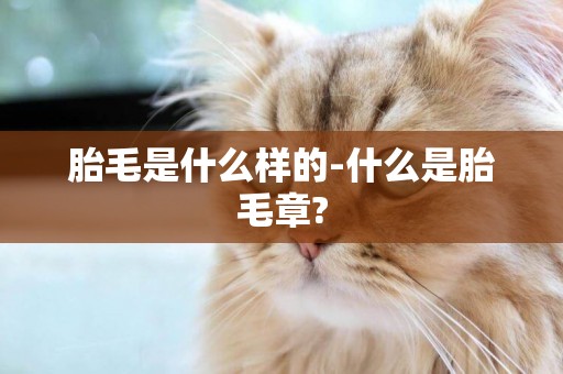 胎毛是什么樣的-什么是胎毛章?