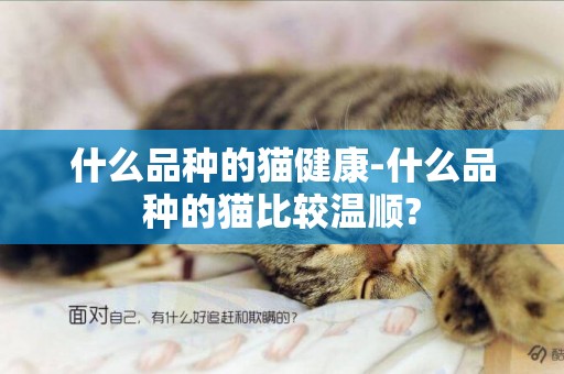 什么品種的貓健康-什么品種的貓比較溫順?