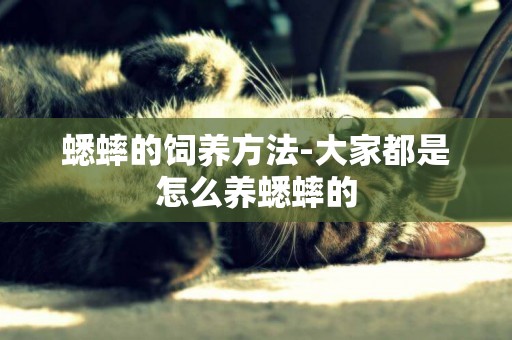 蟋蟀的飼養方法-大家都是怎么養蟋蟀的