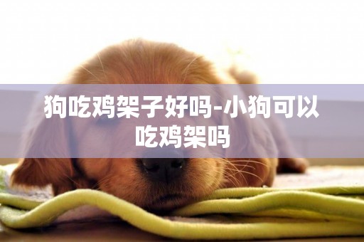 狗吃雞架子好嗎-小狗可以吃雞架嗎
