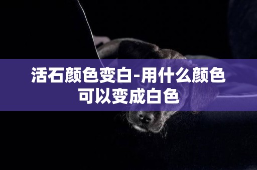 活石顏色變白-用什么顏色可以變成白色