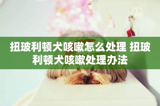 扭玻利頓犬咳嗽怎么處理 扭玻利頓犬咳嗽處理辦法