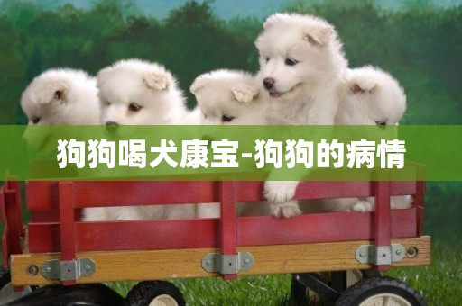 狗狗喝犬康寶-狗狗的病情
