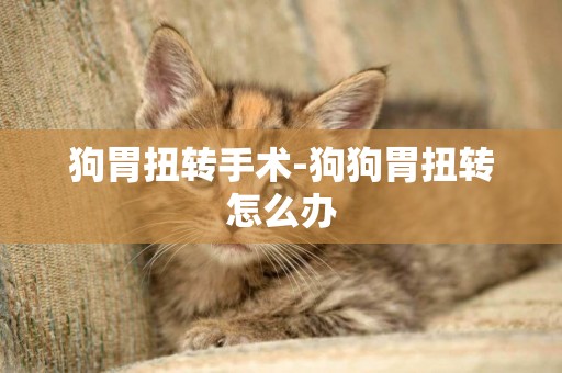 狗胃扭轉手術-狗狗胃扭轉怎么辦