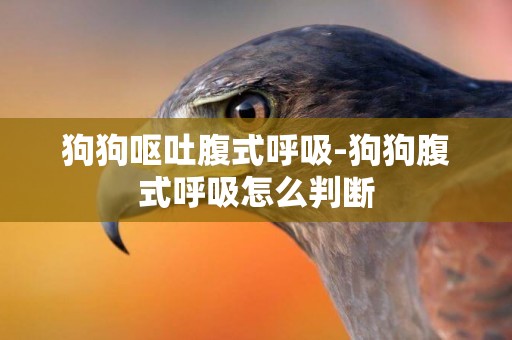 狗狗嘔吐腹式呼吸-狗狗腹式呼吸怎么判斷