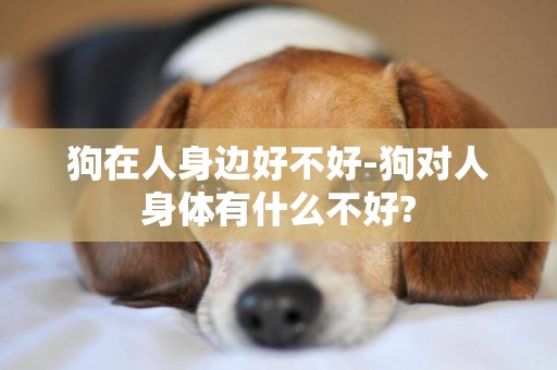 狗在人身邊好不好-狗對人身體有什么不好?