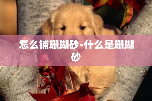 怎么鋪珊瑚砂-什么是珊瑚砂