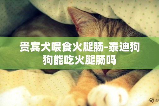 貴賓犬喂食火腿腸-泰迪狗狗能吃火腿腸嗎