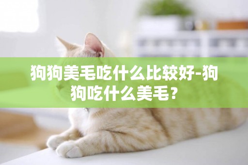狗狗美毛吃什么比較好-狗狗吃什么美毛？