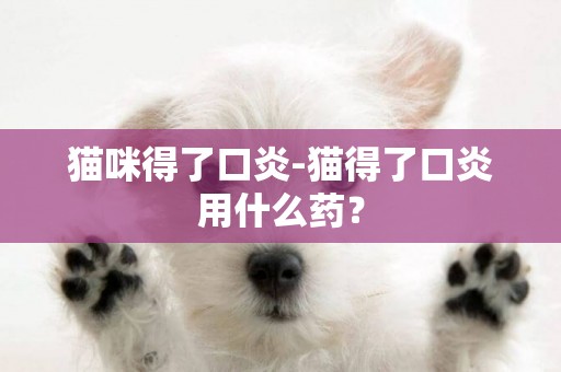 貓咪得了口炎-貓得了口炎用什么藥？