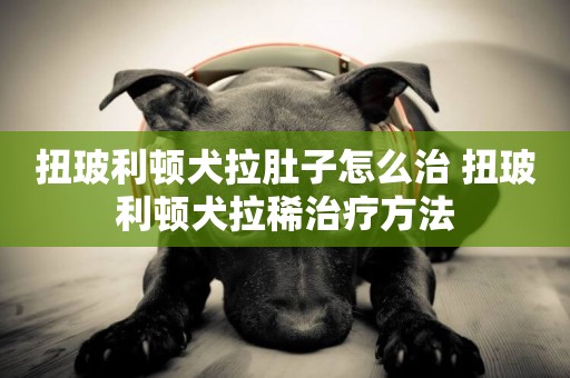 扭玻利頓犬拉肚子怎么治 扭玻利頓犬拉稀治療方法