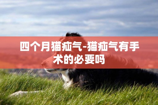 四個月貓疝氣-貓疝氣有手術的必要嗎