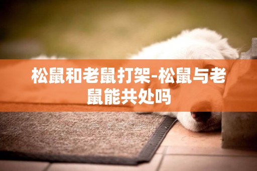 松鼠和老鼠打架-松鼠與老鼠能共處嗎