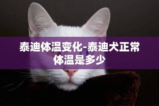 泰迪體溫變化-泰迪犬正常體溫是多少