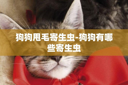 狗狗甩毛寄生蟲-狗狗有哪些寄生蟲