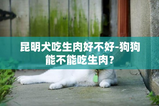 昆明犬吃生肉好不好-狗狗能不能吃生肉？