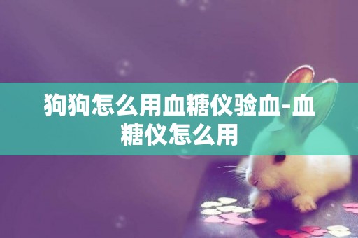 狗狗怎么用血糖儀驗血-血糖儀怎么用