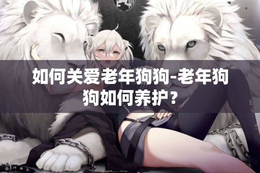 如何關愛老年狗狗-老年狗狗如何養護？