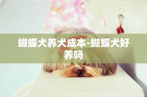 蝴蝶犬養犬成本-蝴蝶犬好養嗎
