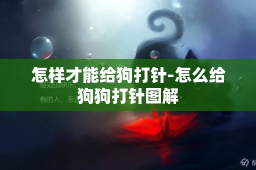 怎樣才能給狗打針-怎么給狗狗打針圖解