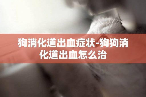 狗消化道出血癥狀-狗狗消化道出血怎么治