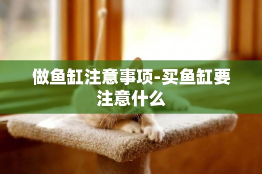 做魚缸注意事項-買魚缸要注意什么
