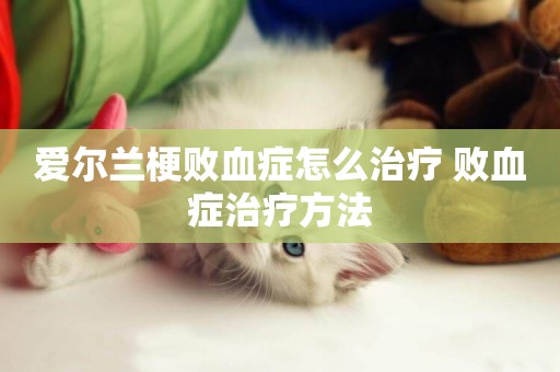 愛爾蘭梗敗血癥怎么治療 敗血癥治療方法