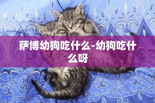 薩博幼狗吃什么-幼狗吃什么呀