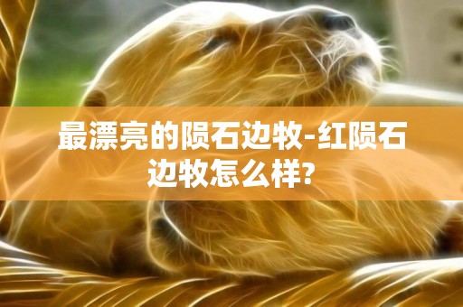 最漂亮的隕石邊牧-紅隕石邊牧怎么樣?