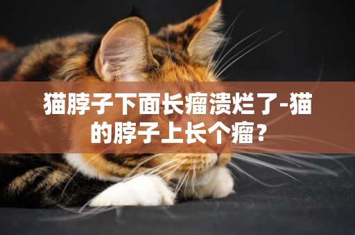 貓脖子下面長瘤潰爛了-貓的脖子上長個瘤？