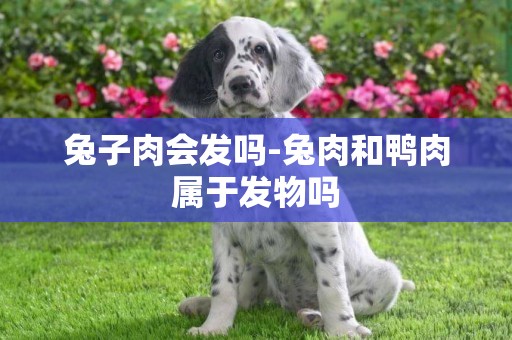 兔子肉會發嗎-兔肉和鴨肉屬于發物嗎