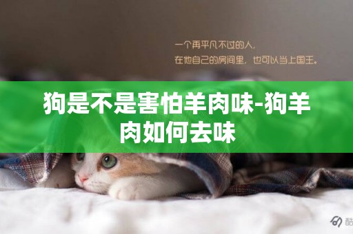 狗是不是害怕羊肉味-狗羊肉如何去味