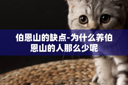 伯恩山的缺點-為什么養伯恩山的人那么少呢