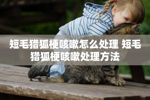 短毛獵狐梗咳嗽怎么處理 短毛獵狐梗咳嗽處理方法
