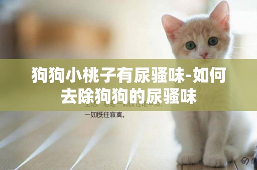 狗狗小桃子有尿騷味-如何去除狗狗的尿騷味