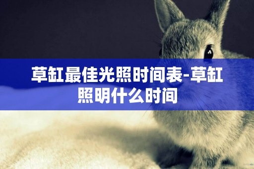 草缸最佳光照時間表-草缸照明什么時間