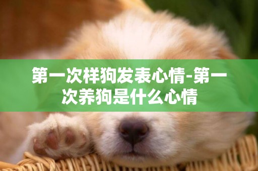 第一次樣狗發表心情-第一次養狗是什么心情