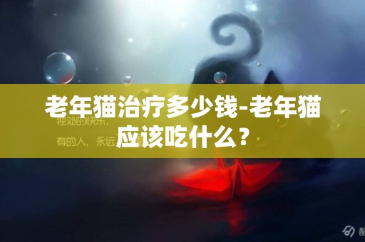 老年貓治療多少錢-老年貓應該吃什么？