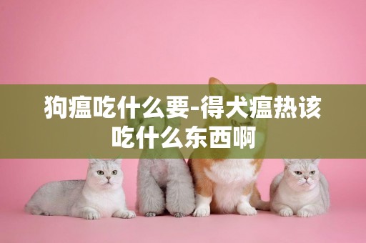 狗瘟吃什么要-得犬瘟熱該吃什么東西啊