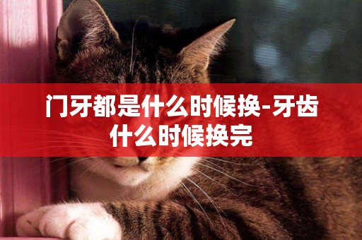 門牙都是什么時候換-牙齒什么時候換完