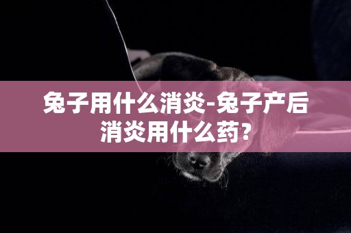 兔子用什么消炎-兔子產后消炎用什么藥？