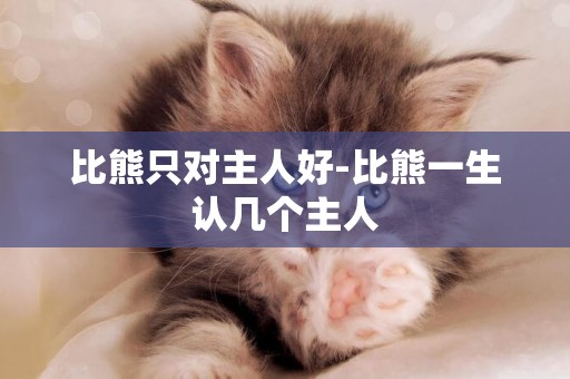 比熊只對主人好-比熊一生認幾個主人