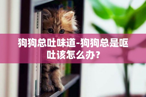 狗狗總吐味道-狗狗總是嘔吐該怎么辦？