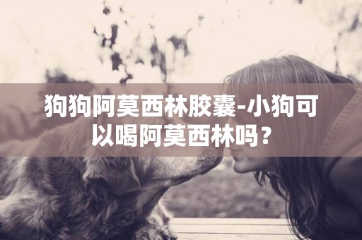 狗狗阿莫西林膠囊-小狗可以喝阿莫西林嗎？