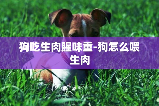 狗吃生肉腥味重-狗怎么喂生肉