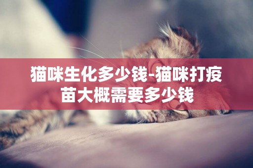 貓咪生化多少錢-貓咪打疫苗大概需要多少錢
